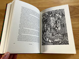 IFA - A Forest Of Mystery - Nicholaj de Mattos Frisvold (1st ED. Hardback, Scarlet Imprint 2016)
