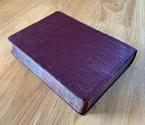 THE NILE - Notes for Travellers in Egypt - E.A. Wallis Budge (1905, original flexi-cover, Thos. Cook, & Son, London)