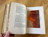 MYTHS OF THE NORSEMEN - H.A. Guerber (Hardback, 1914, George G, Harrap and Company, London),