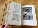 MYTHS OF THE NORSEMEN - H.A. Guerber (Hardback, 1914, George G, Harrap and Company, London),